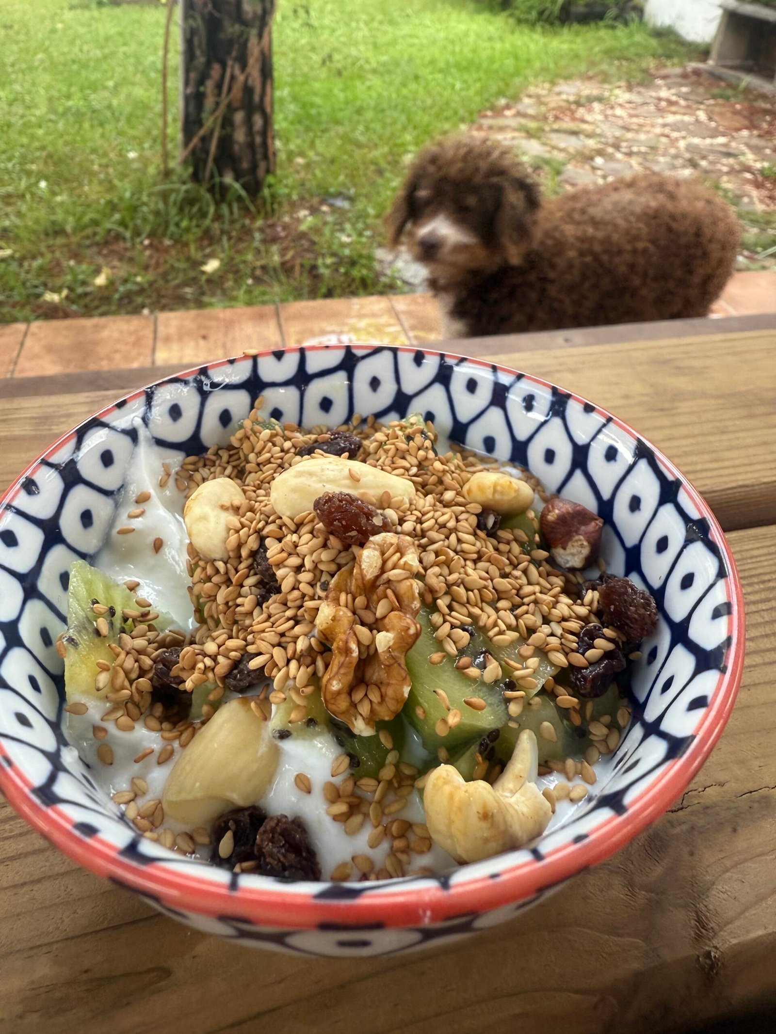 Alimentación en menopausia